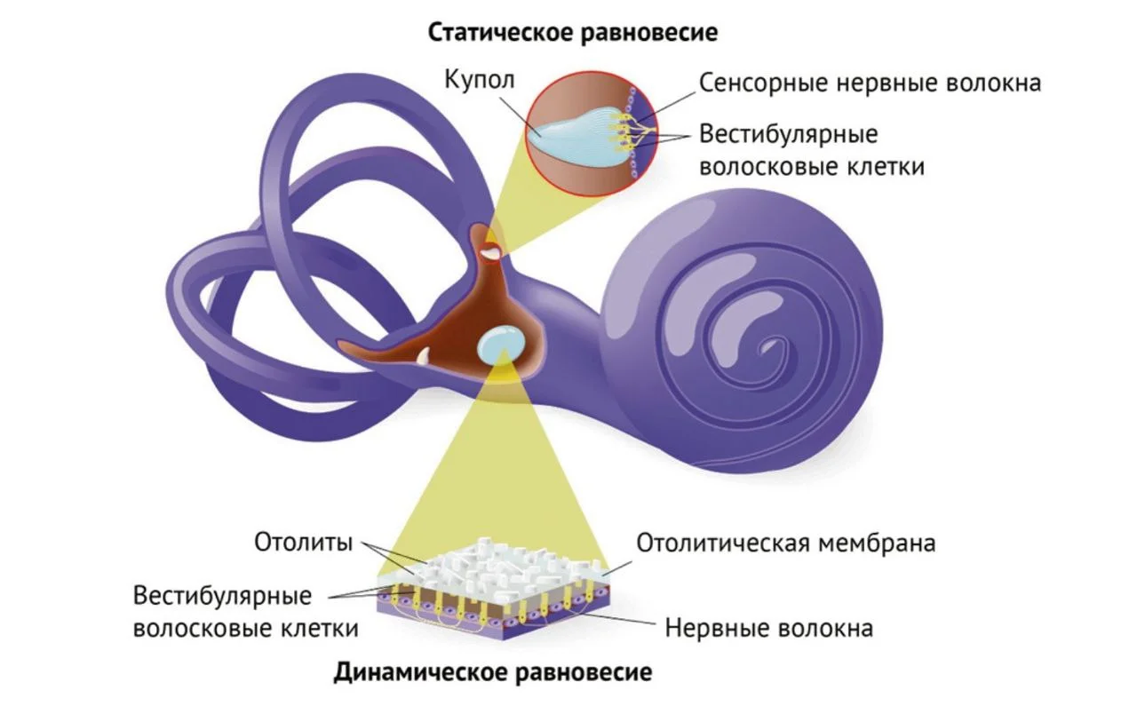 Мне поставили диагноз ДППГ. Что это?
